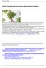 VESA Valutazione Economica Selvicoltura d'albero