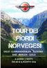 TOUR DEI FIORDI norvegesi