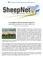 Come migliorare l efficienza riproduttiva degli ovini