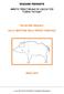 REGIONE PIEMONTE. AMBITO TERRITORIALE DI CACCIA TO5 Collina Torinese RELAZIONE ANNUALE SULLA GESTIONE DELLA SPECIE CINGHIALE ANNO 2010