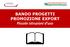 BANDO PROGETTI PROMOZIONE EXPORT Piccole istruzioni d uso