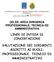 VALUTAZIONE DEI DIRIGENTI ASCRITTI AI RUOLI: PROFESSIONALE, TECNICO ED AMMINISTRATIVO