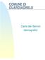 COMUNE DI GUARDIAGRELE. Carta dei Servizi demografici