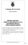 Comune di Cerveteri Provincia di Roma. Comune di Cerveteri. (Provincia di Roma) REGOLAMENTO PER LA DISCIPLINA E LA GESTIONE DELLE SPONSORIZZAZIONI