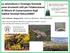 La selvicoltura e l ecologia forestale sono strumenti utili per l elaborazione di Misure di Conservazione degli habitat forestali Natura2000?