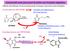 Aminoacidi come precursori di amine con funzione regolativa